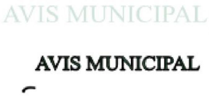 Avis Municipal