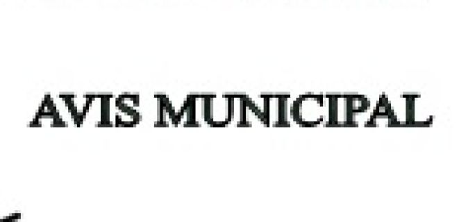 Avis Municipal