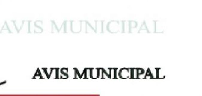 Avis Municipal