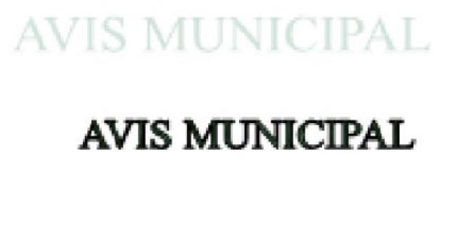 Avis Municipal