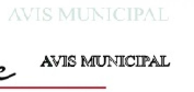Avis Municipal