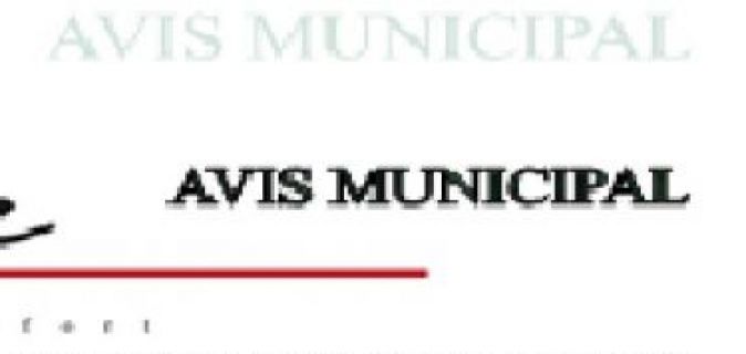 Avis Municipal