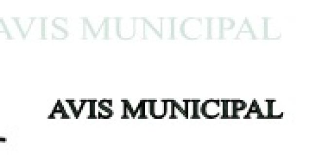 Avis Municipal