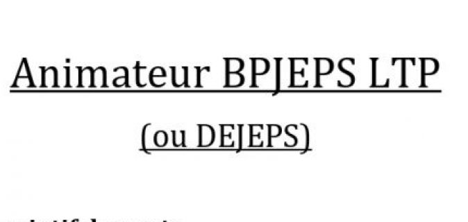 Offre d'emploi - Centre social La Toupie